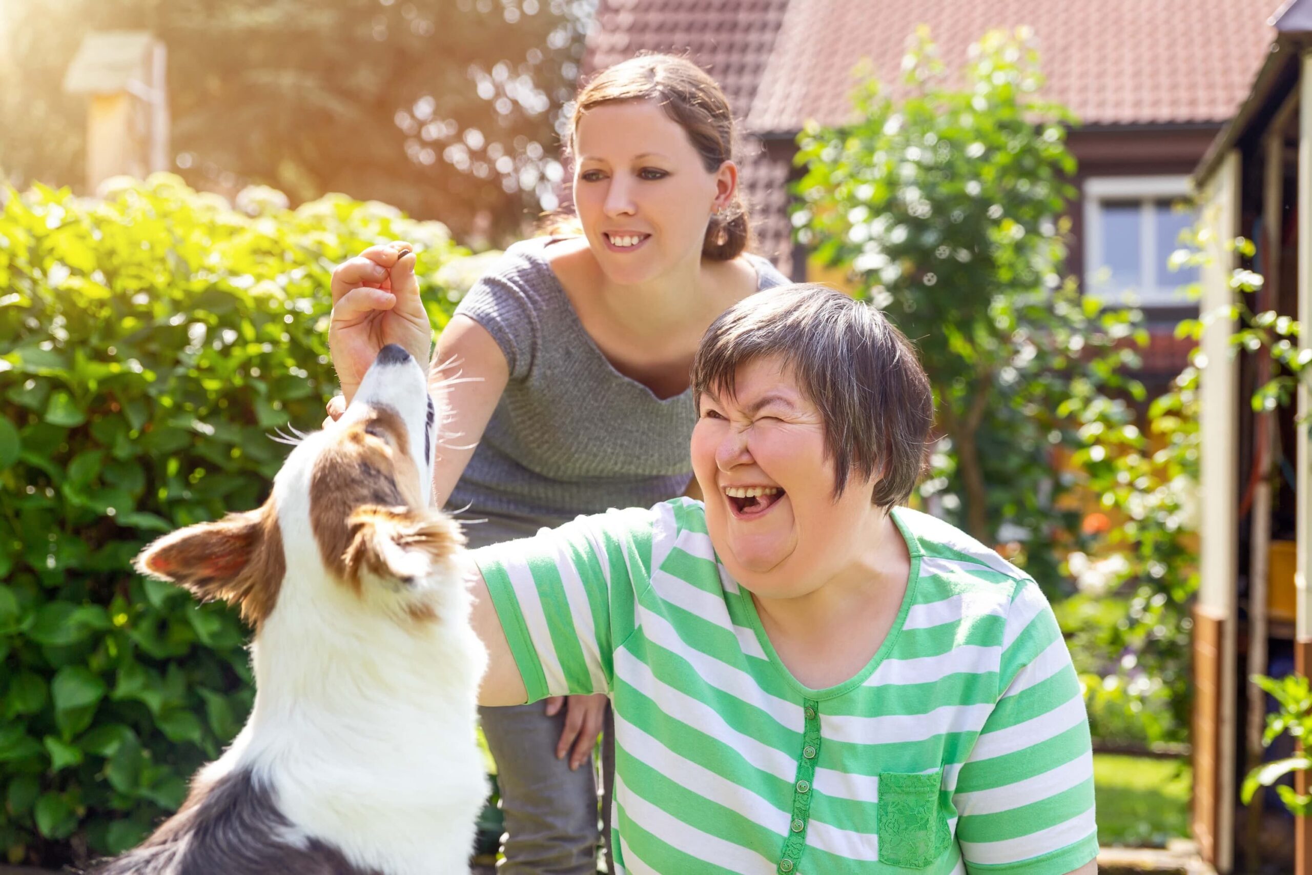 2-daagse cursus Gehandicaptenzorg in het zorgstelsel op 26-06-2025