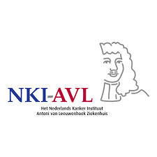 logo AVL